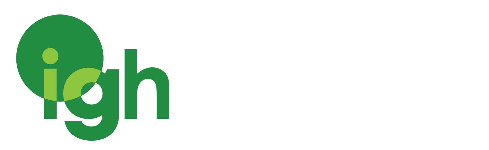 Institute of Global Homelessness
